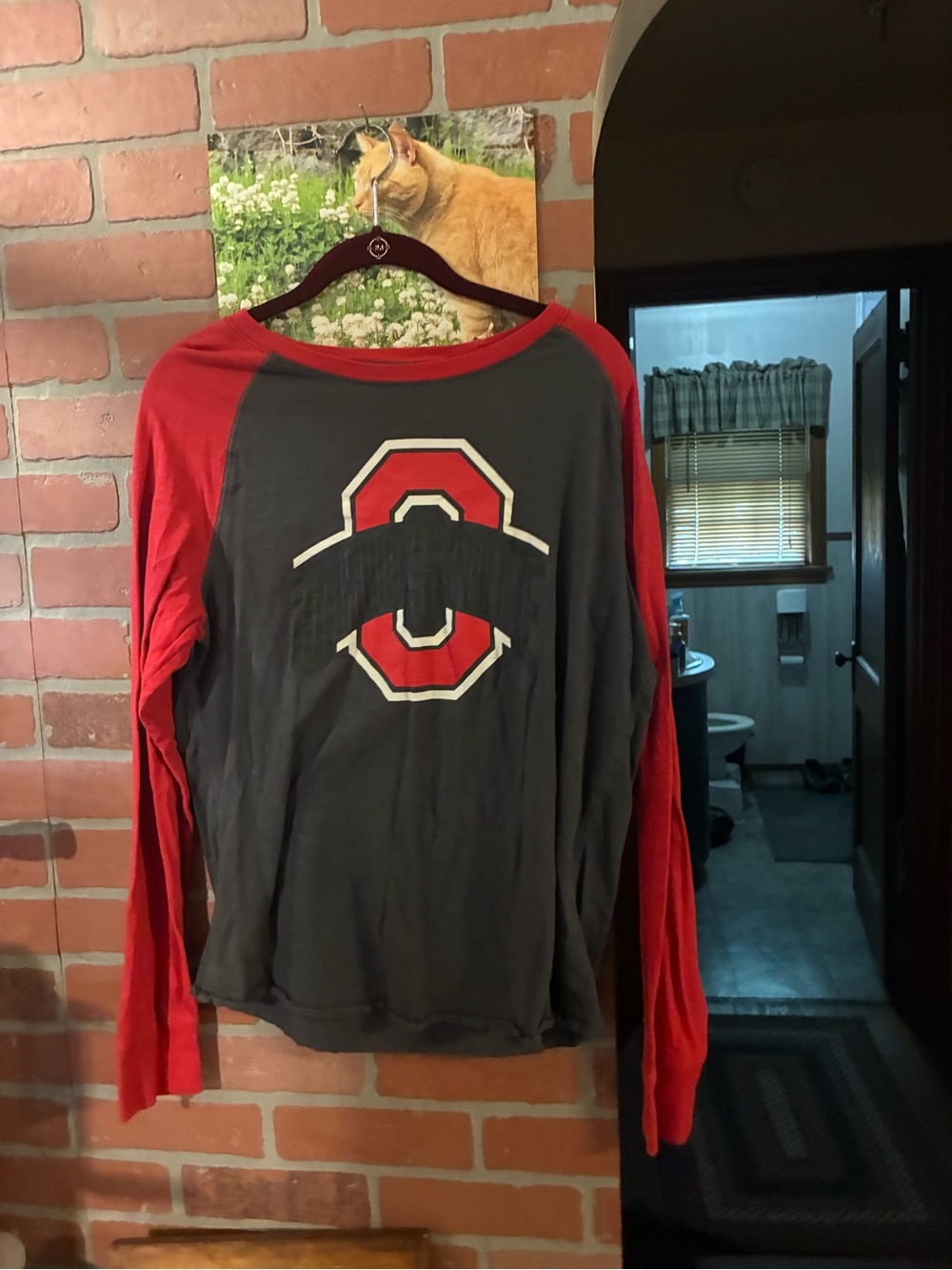 Campus Heritage Red and Gray Raglan Long Sleeve Tee